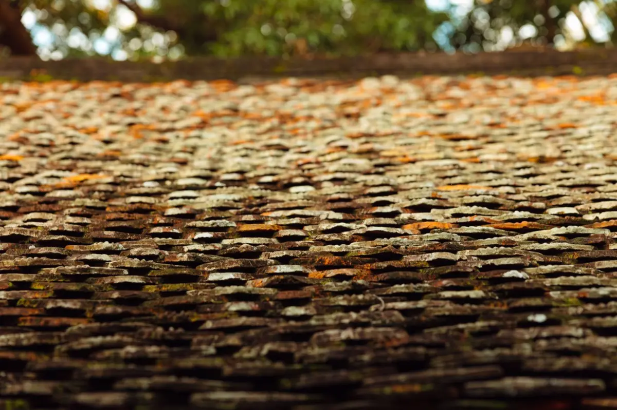 Roof Coatings & Sealing in Taylor, MI